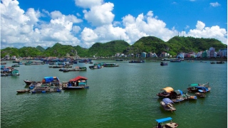 Ha Long Bay (Full day)