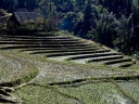 Sapa Vietnam 