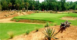 VIET NAM GOLF DREAMS 12D11N