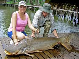 ALONG MEKONG DELTA TO CAMBODIA