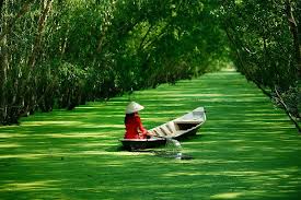 MEKONG DELTA TOUR 